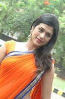 Actress Shraddha Das Saree Photos